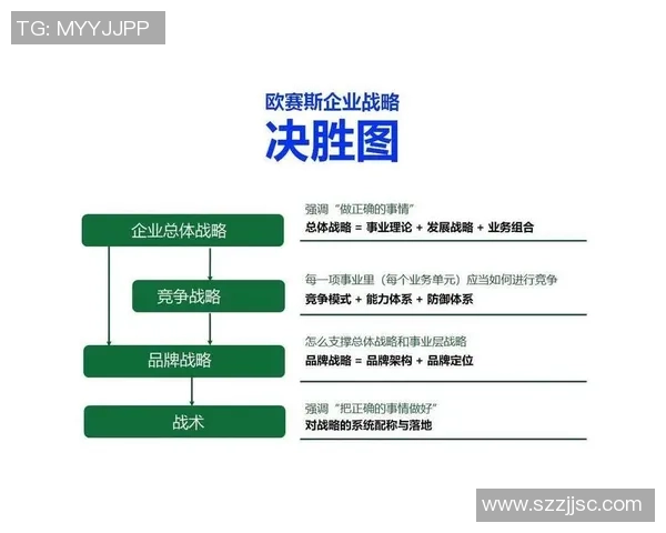 深入分析上海排球队的控制打法及其战术优势与应用